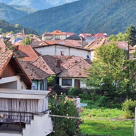 Готель Casa Delia Келіменешті Екстер'єр фото